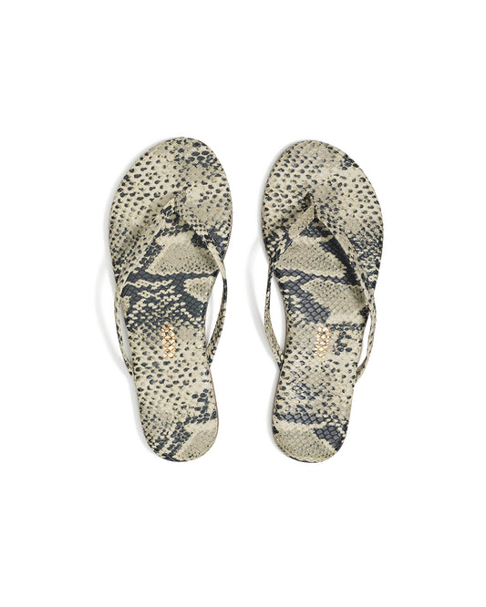 TKEES - STUDIO EXOTIC