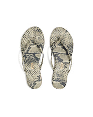 TKEES - STUDIO EXOTIC