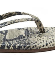 TKEES - STUDIO EXOTIC