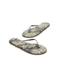 TKEES - STUDIO EXOTIC