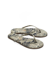 TKEES - STUDIO EXOTIC